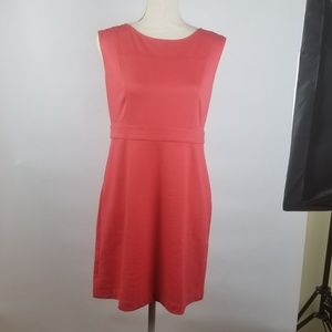 Loft Dress, Back Zipper Slvless Red Sz 8P